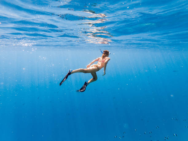 istock Woman dives in tropical sea, underwater shot 1299299523