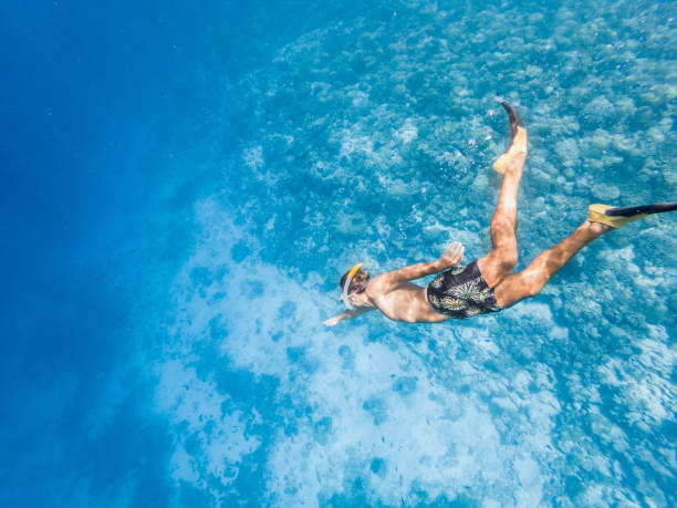 istock Man dives in tropical sea, underwater shot 1299299613