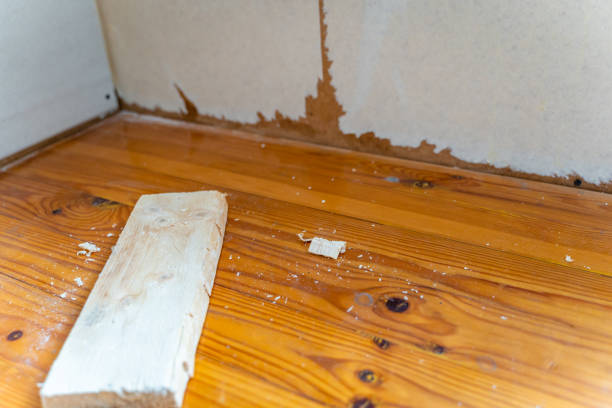 istock Room Renovation, Reconstruction and Remodeling - Close Up on Floor with Selective Focus 1299300584
