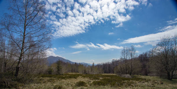 first days of May in the Bieszczady Mountains, Poland