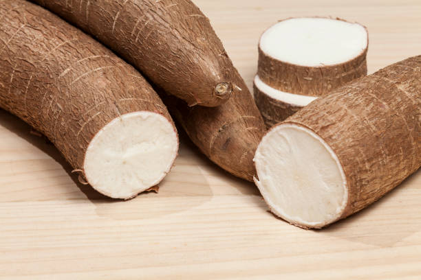 istock Manihot esculenta (Yuca, manioc, guacamota) Cassava raw tuber. 1299302658