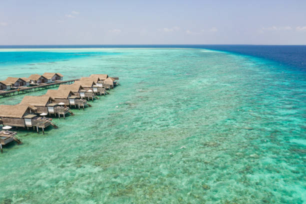istock Drone view of luxury bungalows in the Maldives 1299305811