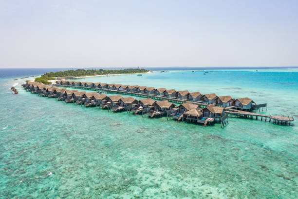 istock Drone view of luxury bungalows in the Maldives 1299305813