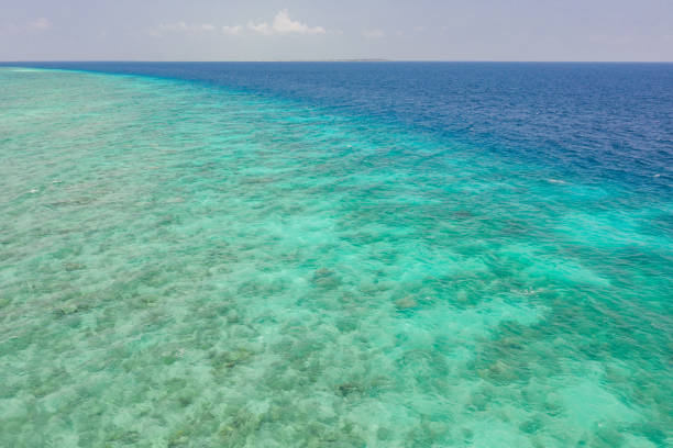 istock Drone view of coral reef in the Maldives 1299305903