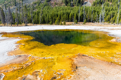 Hot springs are the most common hydro-thermal features at Yellowstone National Park.  They vary from frothing mocha-like boiling water to clear and calm pools of tremendous depth.