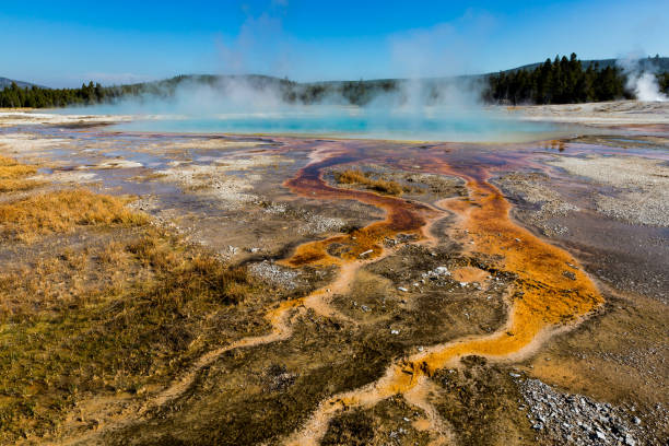 istock Hydro-thermal Pools at Yellowstone National Park 1299306027
