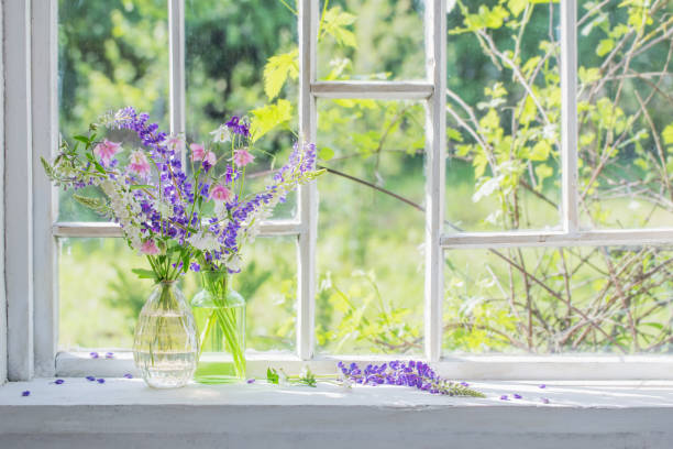 summer flowers in vase on windowsill in sunlight