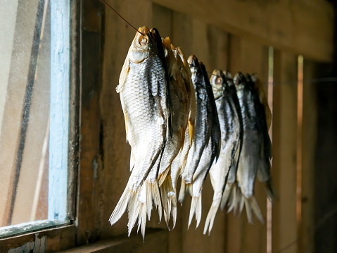 Small river fish, salted for future use, is dried on a rope in a rural house.
