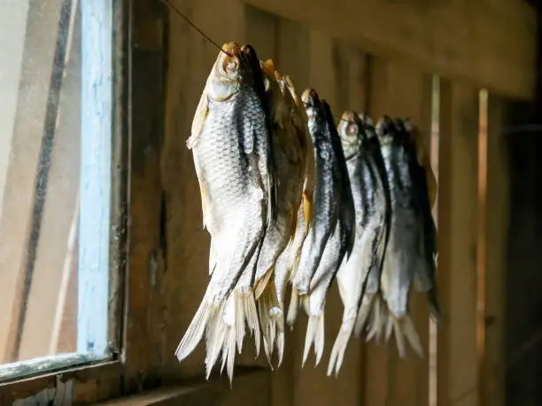 Photo of Small river fish, salted for future use, is dried on a rope in a rural house.