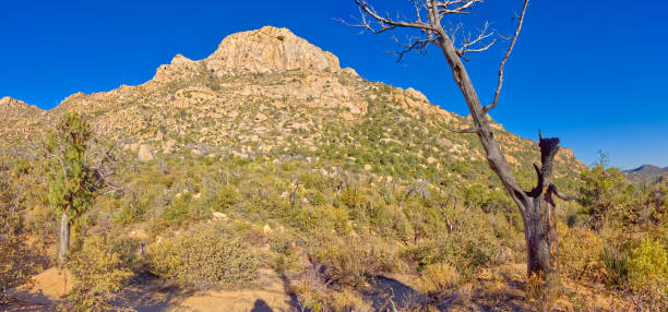 istock Summit of Granite Mountain AZ 1299314829