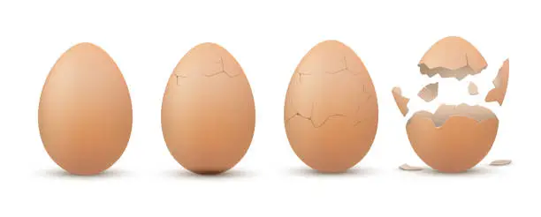 Vector illustration of Eggshell cracking stages. Egg breaking sequence, steps realistic templates.