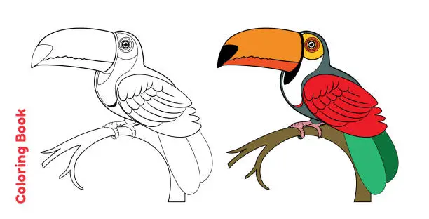 Vector illustration of Coloring Book and Toucan