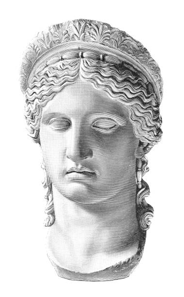 illustrations, cliparts, dessins animés et icônes de hera ludovisi buste sculpture déesse juno - ancient rome illustration and painting engraving engraved image