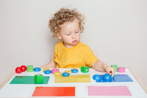 Toddler playing with learning toys at home or kindergarten. Baby sorting organising objects blocks with specific colors. Early age education. Kids hand brain development activity for preschoolers.