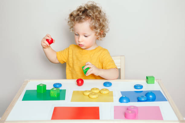 Toddler playing with learning toys at home or kindergarten. Baby sorting organising objects blocks with specific color. Early age education. Kids hand brain development activity for preschoolers.