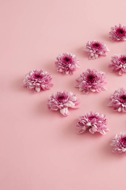 istock Pink pattern made with flowers. Love or woman's day concept. Creative nature background 1299323100