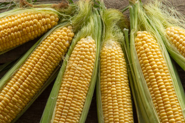 istock Fresh Corn on Cobs on old wooden table, top view, closeup 1299323148