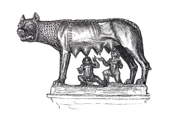 ilustrações de stock, clip art, desenhos animados e ícones de capitoline wolf breastfeeding the twins romulus and remus - ancient rome illustration and painting engraving engraved image