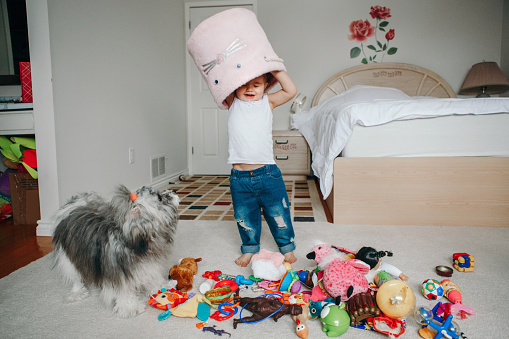 Cute adorable funny baby toddler girl with toy bin on head. Kid child playing with toys at home. Home authentic lifestyle. Kid with domestic animal pet dog. Funny memorable childhood moment.