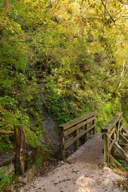 istock Path in Tolmin Gorge, Slovenia 1299328829
