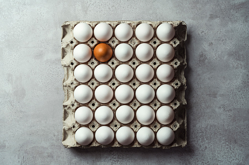 Full lay of eggs in shell close up isolated in paper box