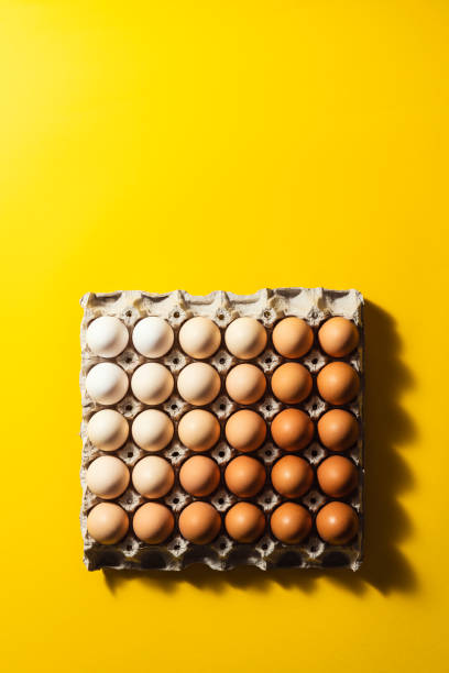 istock Box of eggs on yellow background 1299329950