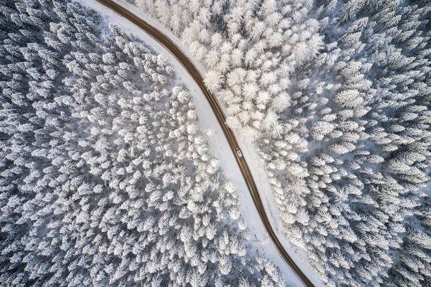 istock Beautiful winter forest and road. Aerial view 1299332554