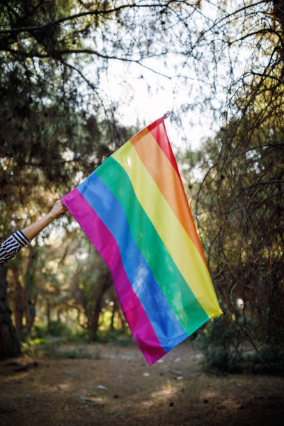 istock Young woman holds large rainbow LGBT flag in forest 1299333057