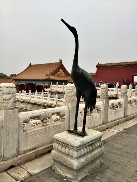The Forbidden City (Chinese: 紫禁城; pinyin: Zǐjìnchéng) is a palace complex in Dongcheng District, Beijing, China, and with a total area of 720,000 square metres (7,800,000 sq ft), it is the largest palace in the world still in existence. In Summer.o la ciudad prohibida (chino: 紫禁城; pinyin: zǐjìnchéng) es un complejo palaciego en el distrito de dongcheng, beijing, china, y con una superficie total de 720.000 metros cuadrados (7.800.000 pies cuadrados), es el palacio más grande del mundo todav