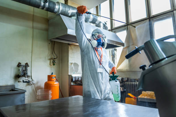 istock Professional disinfects the restaurant’s kitchen 1299338851