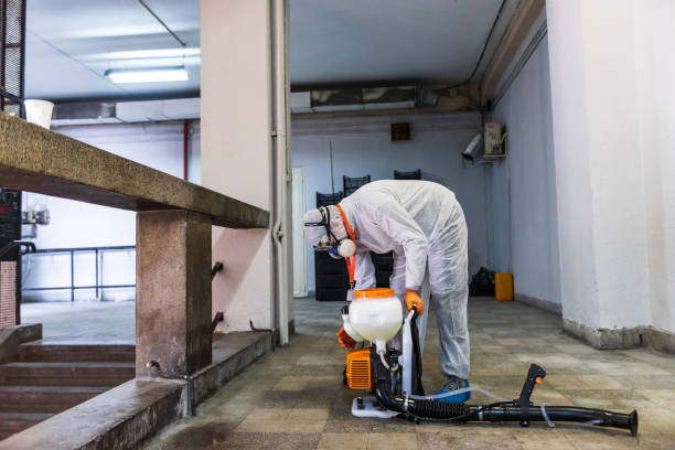 istock Workplace disinfection during the COVID-19 pandemic 1299338883