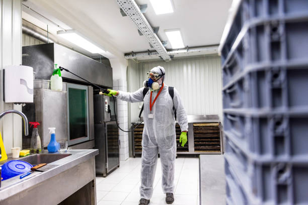 istock Professional disinfection during COVID-19 pandemic 1299340045
