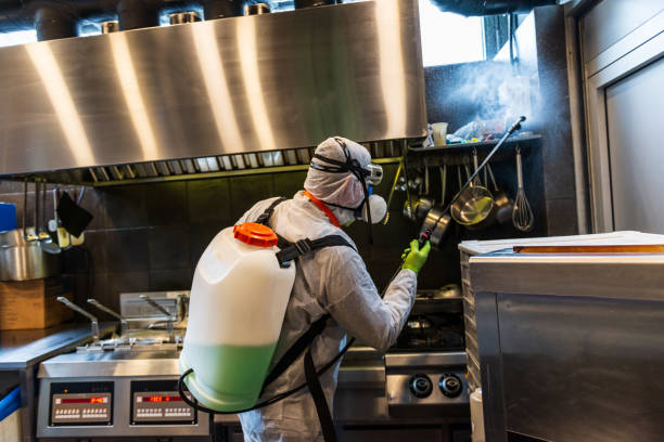 istock Disinfecting restaurant kitchen during coronavirus pandemic 1299340380