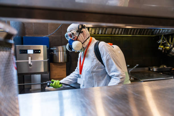 istock Disinfecting restaurant kitchen during coronavirus pandemic 1299340384