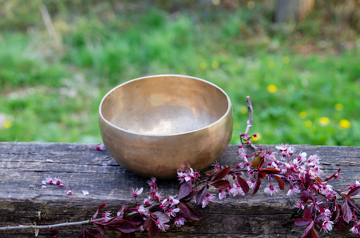 Tibetan bowl made of seven metals in the springtime garden