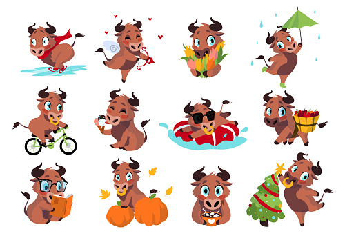 Cartoon bull. Cute cow activities. New Year symbol character. Funny domestic animal working and spending free time. Isolated happy mammal mascot driving bicycle and studying. Vector decorative set