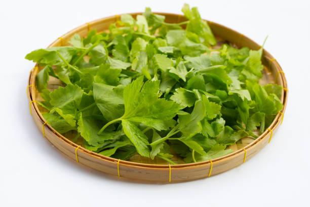 istock Chinese celery in bamboo basket on white 1299354757