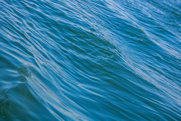 istock Beautiful blue river waves in the Summer 1299354877