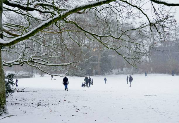 istock Families in the snowy park 1299355874