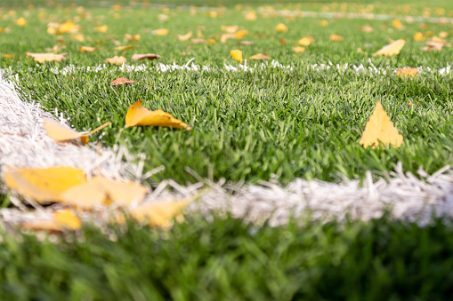 Artificial turf football field with yellow autumn leaves, good sunny weather and outdoor sports activities concept