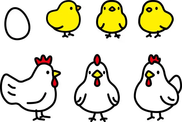 Vector illustration of PrintRounded silhouette chicken and chick, side-front licking 3-way set