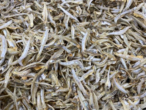 istock Anchovies 1299362658