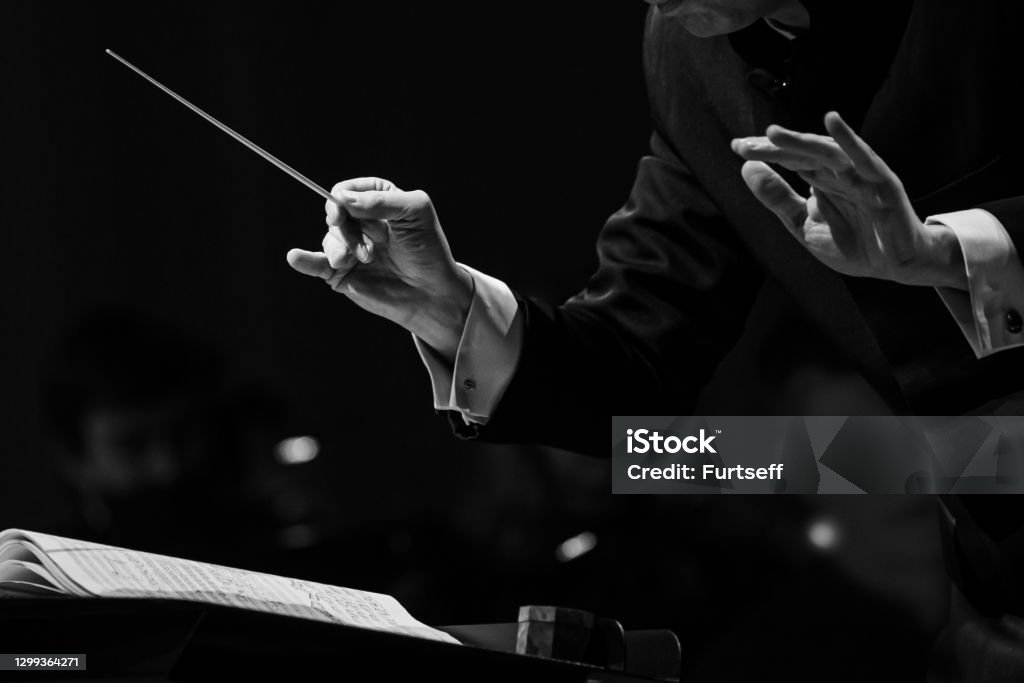 Hands of a conductor of a symphony orchestra close-up Hands of a conductor of a symphony orchestra close-up in black and white Orchestra Stock Photo