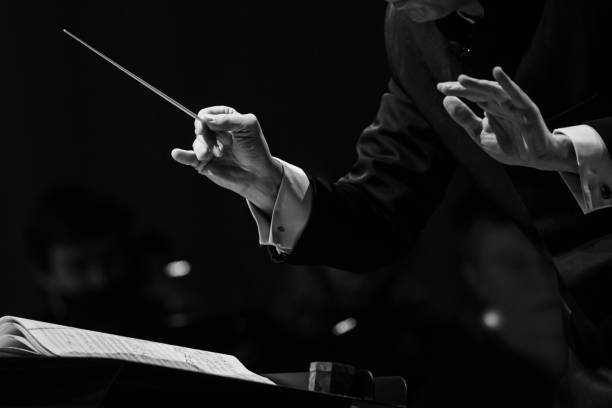 Hands of a conductor of a symphony orchestra close-up Hands of a conductor of a symphony orchestra close-up in black and white opera stock pictures, royalty-free photos & images