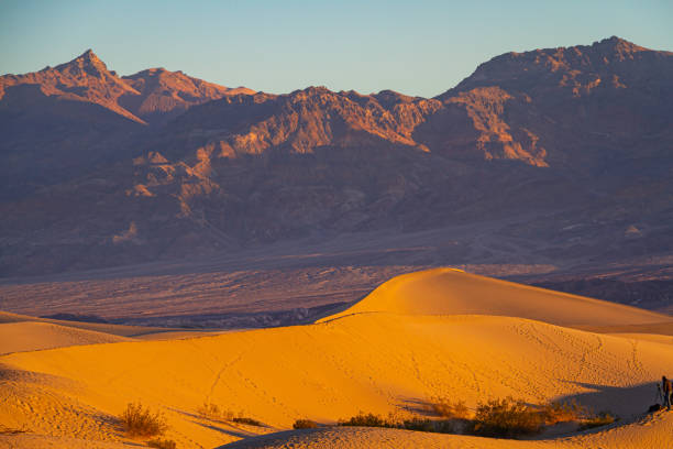 istock Sand dunes in Death Valley near stovepipe wells 1299366283