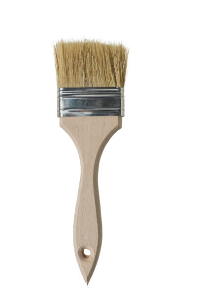 istock Paint brush with coarse bristles isolated on a white background. 1299372360