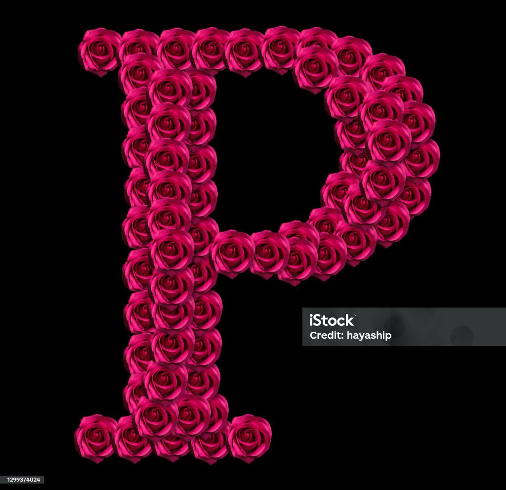 Roses Capital Letter P Stock Photo - Download Image Now ...