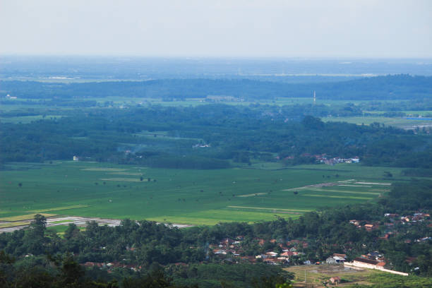 istock beautiful natural scenery of rice fields and forests 1299375419