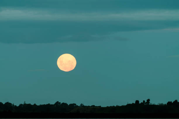 istock Orange color moon in dark sky 1299377004