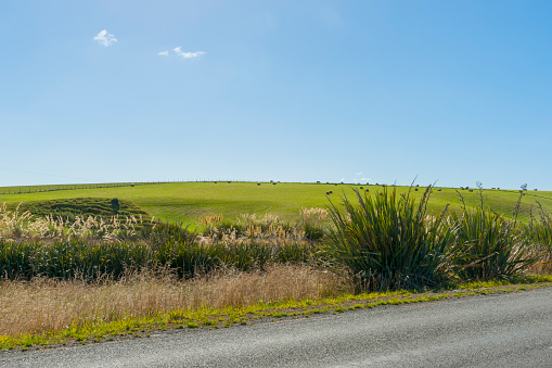 Rolling farmland from roadside rural background, Southland new Zealand